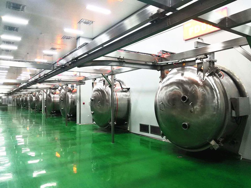 Freeze-Dried Fruit & Vegetable Factory industrial reference