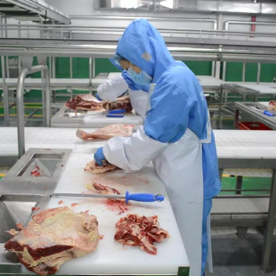 Meat Cutting & Vacuum Packaging Line industrial reference