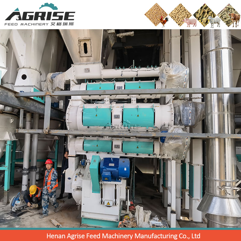Wheat-Bran Feed Pellet Production Line industrial reference